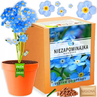 Zestaw do uprawy roślin Niezapominajka Alpejska nasiona Niebieska Błękitna - Nasiona i cebule - miniaturka - grafika 1
