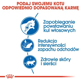 ROYAL CANIN  Indoor Long Hair 4kg karma sucha dla kotów dorosłych, długowłose, przebywających wyłącznie w domu + niespodzianka dla kota GRATIS! - Sucha karma dla kotów - miniaturka - grafika 7