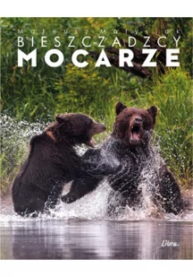 Album Bieszczadzcy mocarze - Walka niedźwiedzi - Albumy krajoznawcze - miniaturka - grafika 1