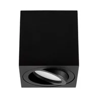 Lampy sufitowe - OPRAWA NATYNKOWA SPOT TUBA CZARNA ERBA W1 - miniaturka - grafika 1