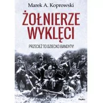 Żołnierze wyklęci przecież to dziecko bandyty - Pamiętniki, dzienniki, listy - miniaturka - grafika 1