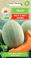 Nasiona i cebule - Melon HALE'S BEST JUMBO (śr. późny) Cucumis melo L. - miniaturka - grafika 1
