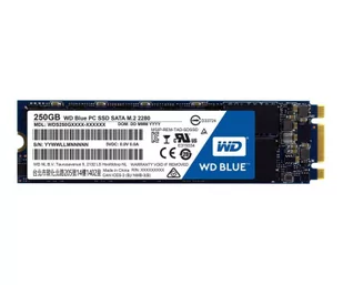 Western Digital WD Blue SSD 250 GB M.2 2280 WDS250G1B0B WDS250G1B0B - Dyski serwerowe - miniaturka - grafika 1