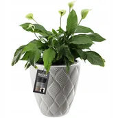 Donice - Donica Doniczka Z Wkładem Osłonka Biała 32,5Cm - miniaturka - grafika 1