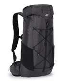 Plecaki - Plecak Turystyczny 4F Lekki Przewiewny 25 Litrów Czarny - miniaturka - grafika 1