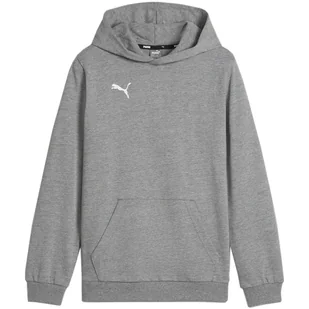 Bluza Z Kapturem Dziecięca/dziecięca Team Goal Casual - Odzież sportowa dziecięca - miniaturka - grafika 1
