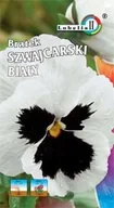 Nasiona i cebule - Bratek szwajcarski biały z plamą 0,3g / L / - miniaturka - grafika 1