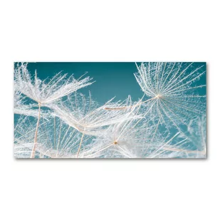 Foto obraz szkło akryl Nasiona dmuchawca - Obrazy i zdjęcia na płótnie - miniaturka - grafika 1