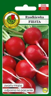 Rzodkiewka Fiesta 10 g PNOS - Nasiona i cebule - miniaturka - grafika 1