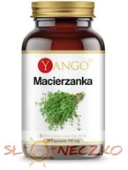 Suplementy naturalne - Yango Yango Macierzanka 90 k 510 mg układ oddechowy - miniaturka - grafika 1