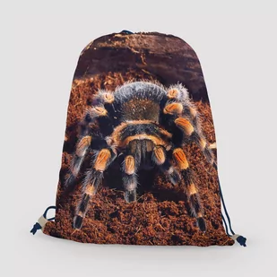 Worko-plecak pająk brachypelma - Plecaki worki - miniaturka - grafika 1