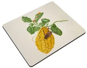 Podkładki pod mysz - Podkładka Cytryna z gąsienicą małpy i chrząszczem harlekin Maria Sibylla Merian 36x29cm - miniaturka - grafika 1