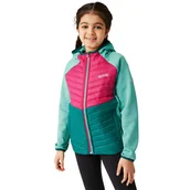 Kurtki i płaszcze dla dziewczynek - Kurtka dziewczęca Regatta Kielder VIII softshell hybrydowa przejściowa-164 - REGATTA - miniaturka - grafika 1