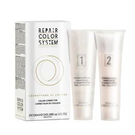 Farby do włosów i szampony koloryzujące - RENEE BLANCHE Dekoloryzator do włosów REPAIR COLOR SYSTEM - 2x100ml - miniaturka - grafika 1