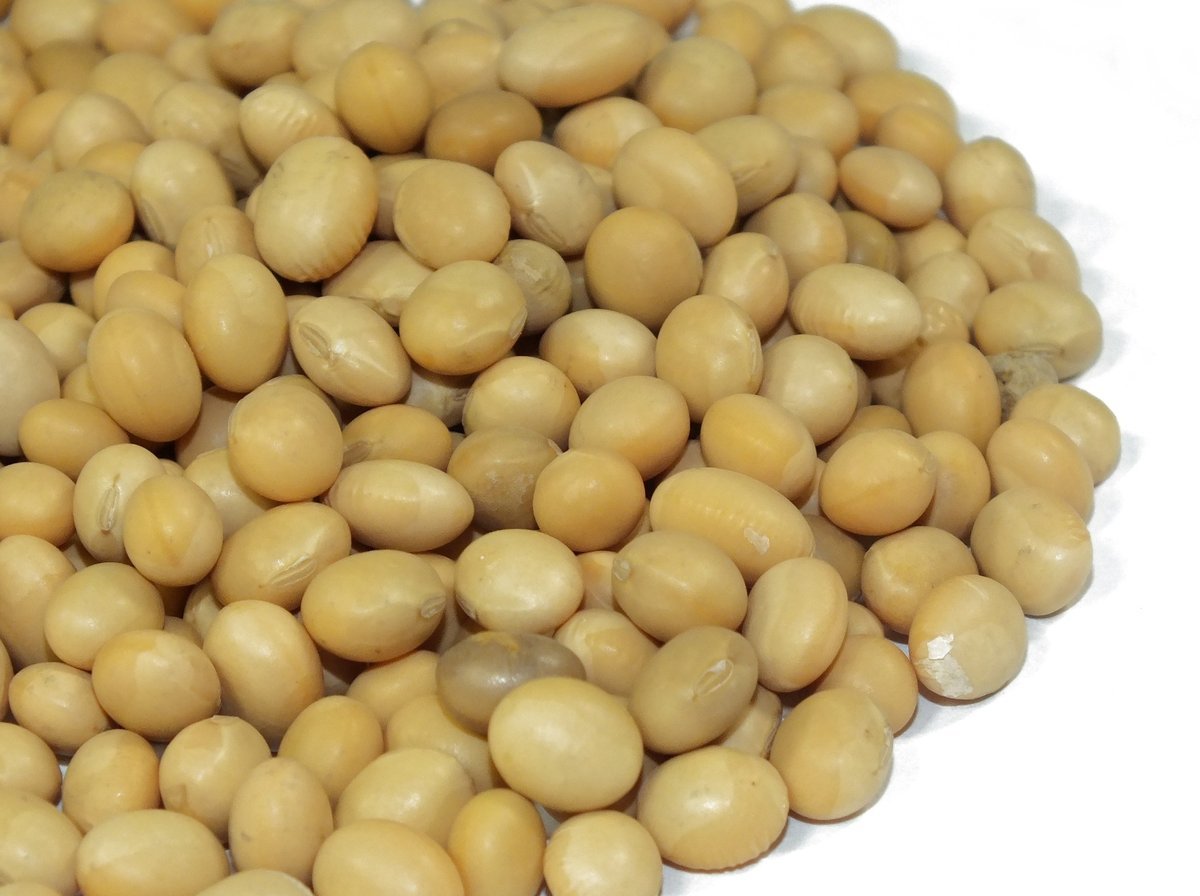 SOJA ZIARNO 400g od Skworcu SA