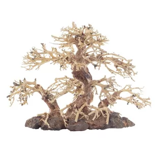 PROGROW Bonsai Tree BT2M 30x15x23cm drzewko - Dekoracje do akwarium - miniaturka - grafika 1
