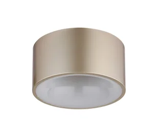 Globo 56964G - Oprawa sufitowa LED RAYMOND LED/12W/230V Ø 15 cm 3000K beżowa - Lampy sufitowe - miniaturka - grafika 1