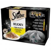 Sucha karma dla kotów - SHEBA SHEBA DEL IN JELLY SMAKI DROBIOWE 12X85G zakupy dla domu i biura! 367907 - miniaturka - grafika 1