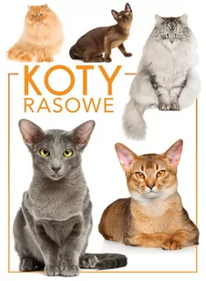 Koty rasowe - Albumy inne - miniaturka - grafika 1