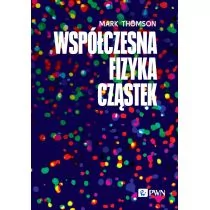 Współczesna fizyka cząstek - Fizyka i astronomia - miniaturka - grafika 1