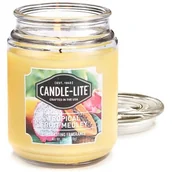 Świece - Świeca zapachowa - Tropical Fruit Medley (510g) - miniaturka - grafika 1