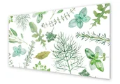 Dekoracje domu - Panel kuchenny HOMEPRINT Akwarela, zioła 100x50 cm - miniaturka - grafika 1