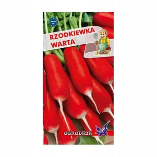 Rzodkiewka Warta 10g / O / - Nasiona i cebule - miniaturka - grafika 1