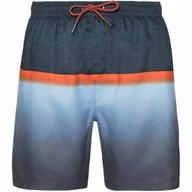 Spodenki męskie - Spodenki męskie PROTEST ERVIN beachshort PROTEST XXL - miniaturka - grafika 1