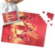 Puzzle - PUZZLE - Liverpool F.C. WZORY DLA MAŁEGO PIŁKARZA 120el + WORECZEK - miniaturka - grafika 1