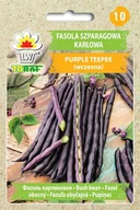 Nasiona i cebule - Fasola szp. karł. fioletowostr. PURPLE TEEPEE (wczesna) Phaseolus vulgaris L. - miniaturka - grafika 1