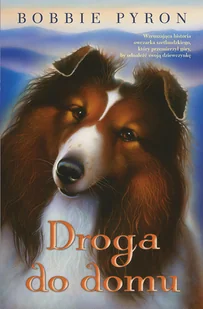 Pyron Bobby Droga do domu - Baśnie, bajki, legendy - miniaturka - grafika 3