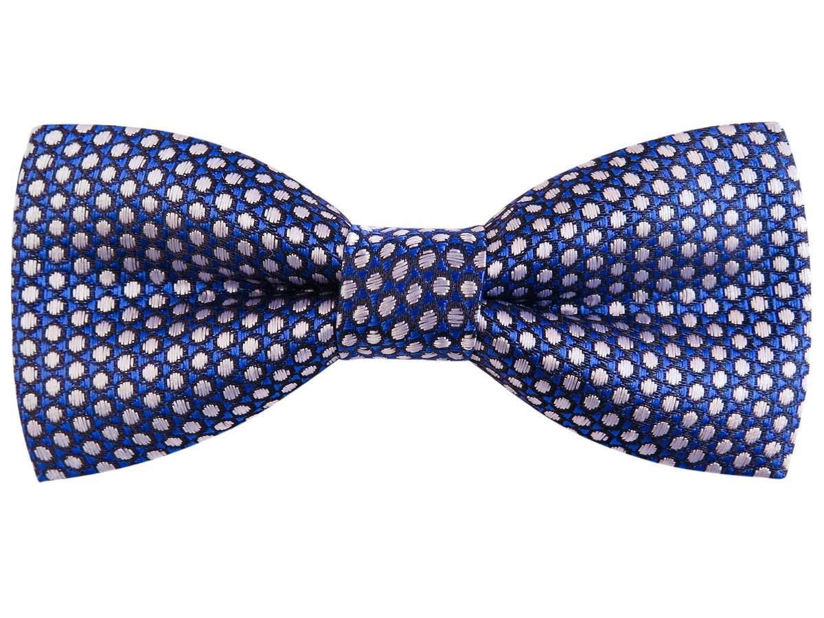 Niebieska mucha w białe kropki C13