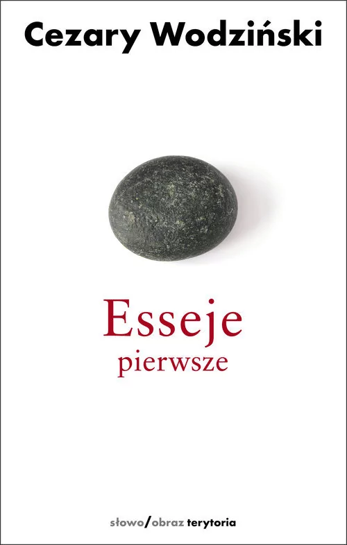 Słowo obraz terytoria Esseje pierwsze - Cezary Wodziński