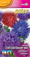 Nasiona i cebule - Aster chryzantemowy mix 1g / L / - miniaturka - grafika 1