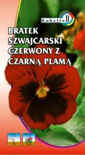 Bratek szwajcarski czerwony z plamą 0,3g / L / - Nasiona i cebule - miniaturka - grafika 1