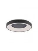 Lampy sufitowe - Paul Neuhaus Lampa sufitowa ciemnoszara z diodą LED i pilotem - Meidan - miniaturka - grafika 1