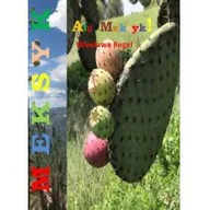 Obcojęzyczna literatura faktu i reportaż - Regel Wiesława Ale Meksyk! - dostępny od ręki, natychmiastowa wysyłka - miniaturka - grafika 1