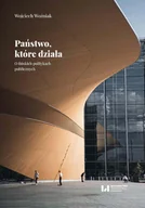 E-booki - nauka - Państwo, które działa. O fińskich politykach publicznych - miniaturka - grafika 1