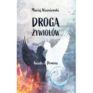 Ezoteryka - Droga Żywiołów. Anioły i Demony - miniaturka - grafika 1