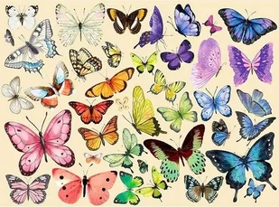 Puzzle 1000 elementów układanka 50x60cm Motyle kolorowe - Puzzle - miniaturka - grafika 1