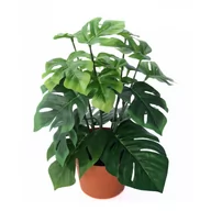 Sztuczne kwiaty - Sztuczna monstera w doniczce, 27 cm - miniaturka - grafika 1