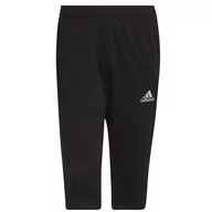 Piłka nożna - Adidas spodnie męskie piłkarskie ENTRADA 22 3/4 Panty HB0576 - miniaturka - grafika 1