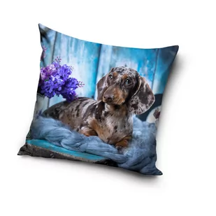 CX Poszewka Pies PD181001A Jamnik 40x40 cm 14694 - Poszewki na poduszki - miniaturka - grafika 1