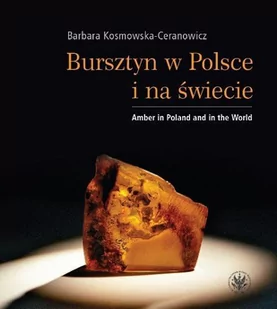 Bursztyn w Polsce i na świecie - E-booki - nauka - miniaturka - grafika 1