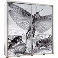 Szafy - Szafa 205 z Grafiką Insects Penelopa Maridex Dąb Artisan - miniaturka - grafika 1