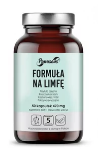 Panaseus Formuła na limfę, 50 kapsułek - Serce i układ krążenia - miniaturka - grafika 1