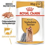Mokra karma dla psów - Royal Canin bytówka Yorkshire Terrier Adult 12x85g 16470-uniw - miniaturka - grafika 1