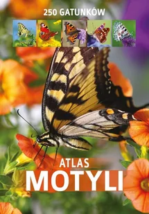 SBM Atlas motyli (dodruk) - Kamila Twardowska, Jacek Twardowski - Atlasy i mapy - miniaturka - grafika 1