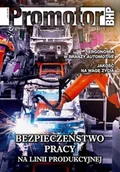 Czasopisma - Promotor BHP | nr 11/2019 (pdf) - miniaturka - grafika 1
