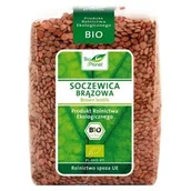 Ziarna i nasiona roślin strączkowych - Bio Planet Ekologiczna soczewica brązowa jest rośliną strączkową, niezwykle popu - miniaturka - grafika 1
